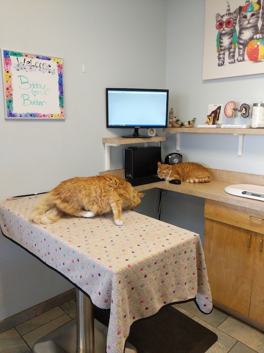 University Veterinary Center - Photo 2