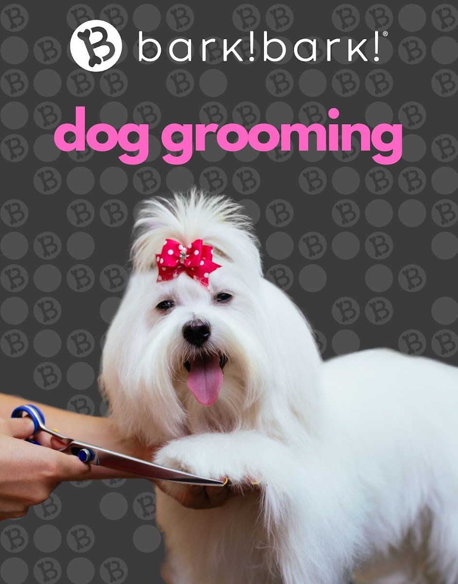 bark! bark! boutique and grooming - Photo 2