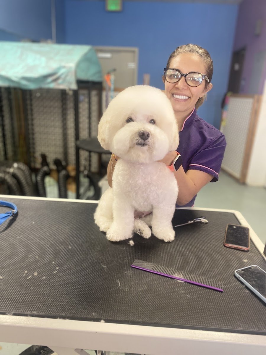 BhappyPets - Photo 2