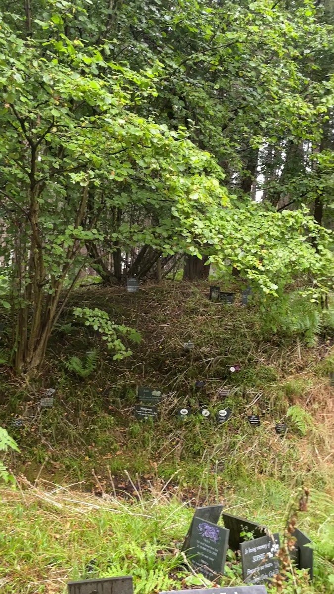 Dignity Pet Crematorium - Photo 5