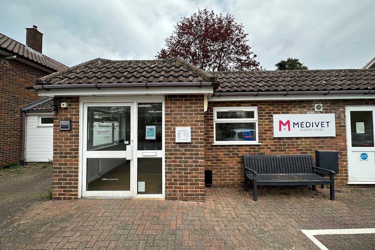 Medivet Bracknell Easthampstead - Kynoch Vets - Photo 2