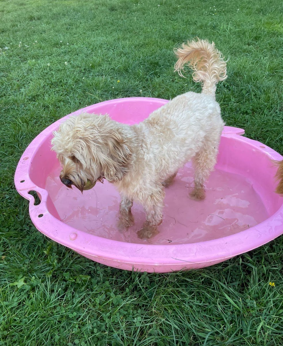 At the Bark - Photo 2