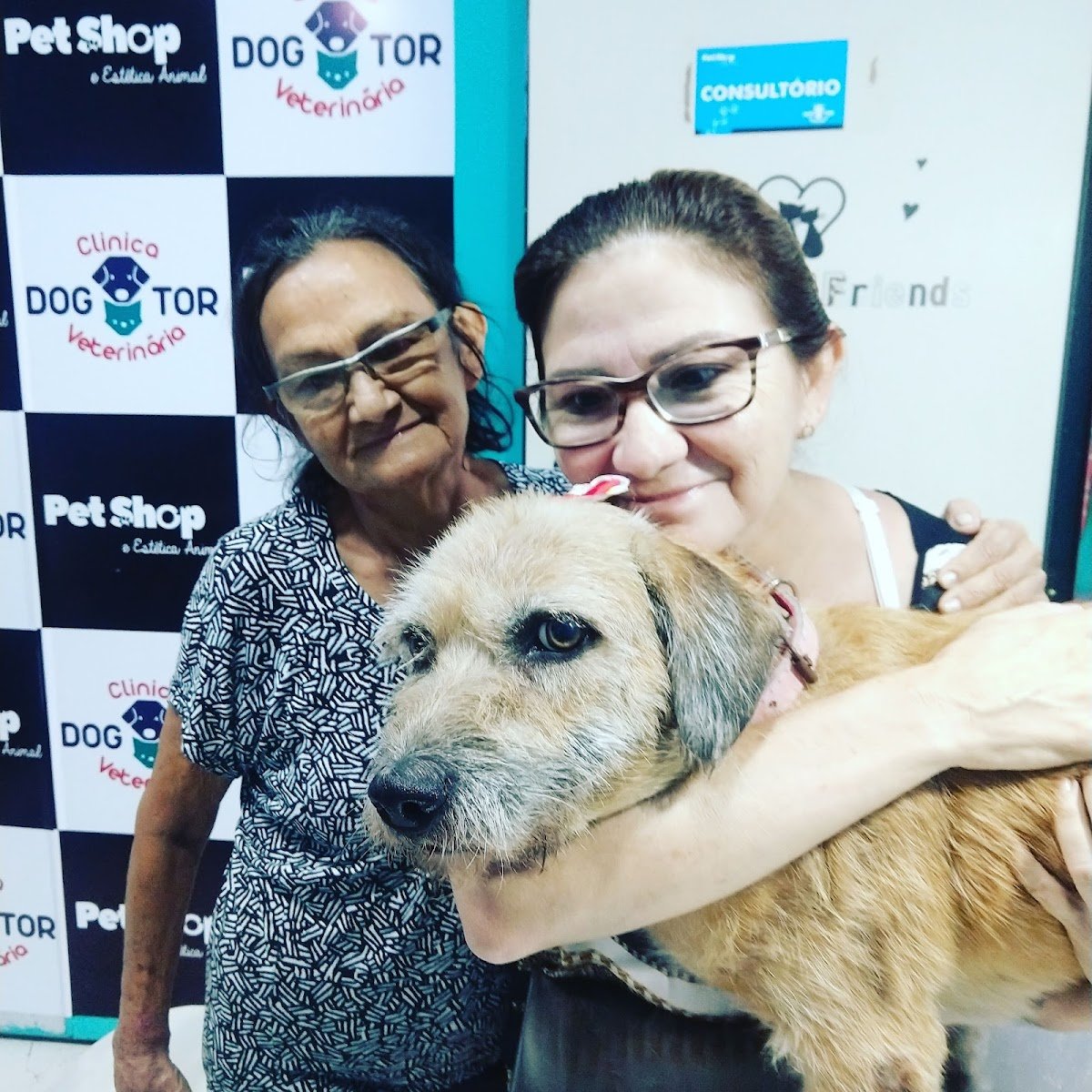 Dogtor Consultorio Veterinário