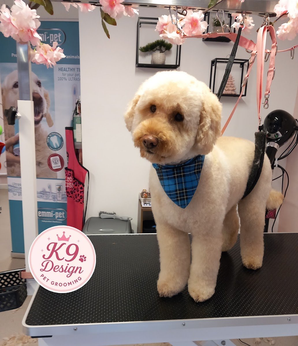 K9 Design Grooming - Photo 2