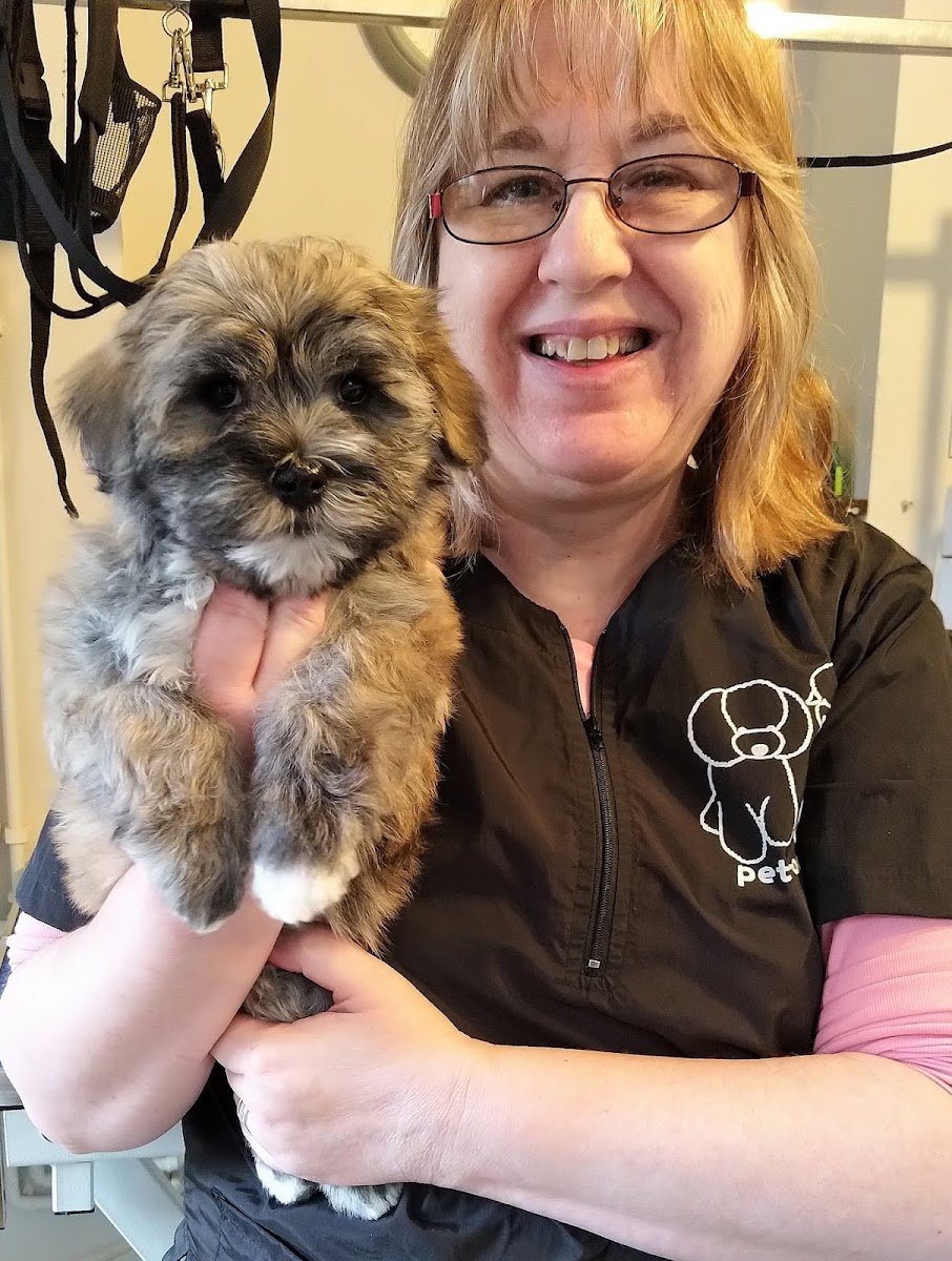 Master Dog Grooming - Photo 2