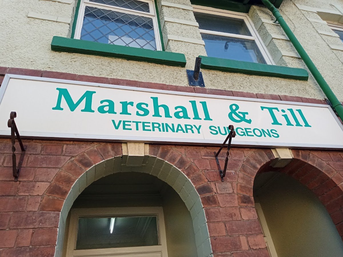 Marshall and Till - Photo 2