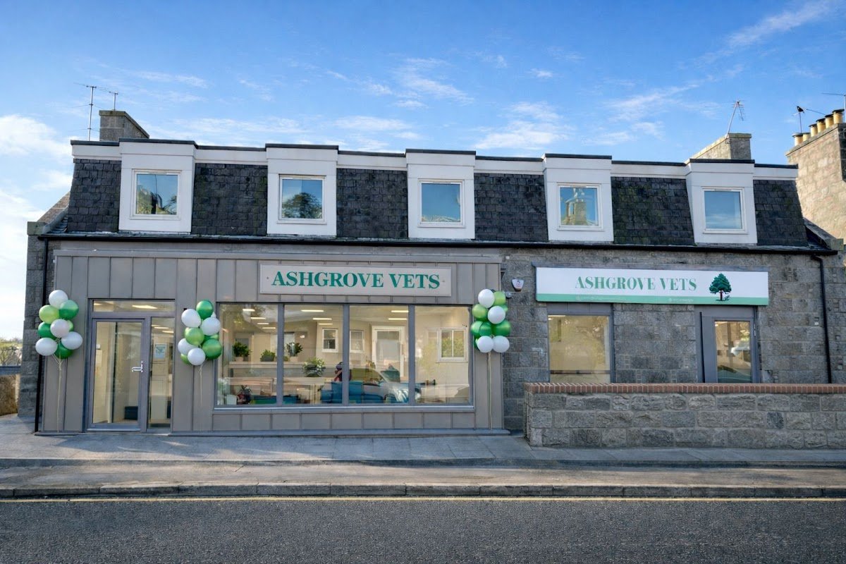Ashgrove Vets - Photo 2