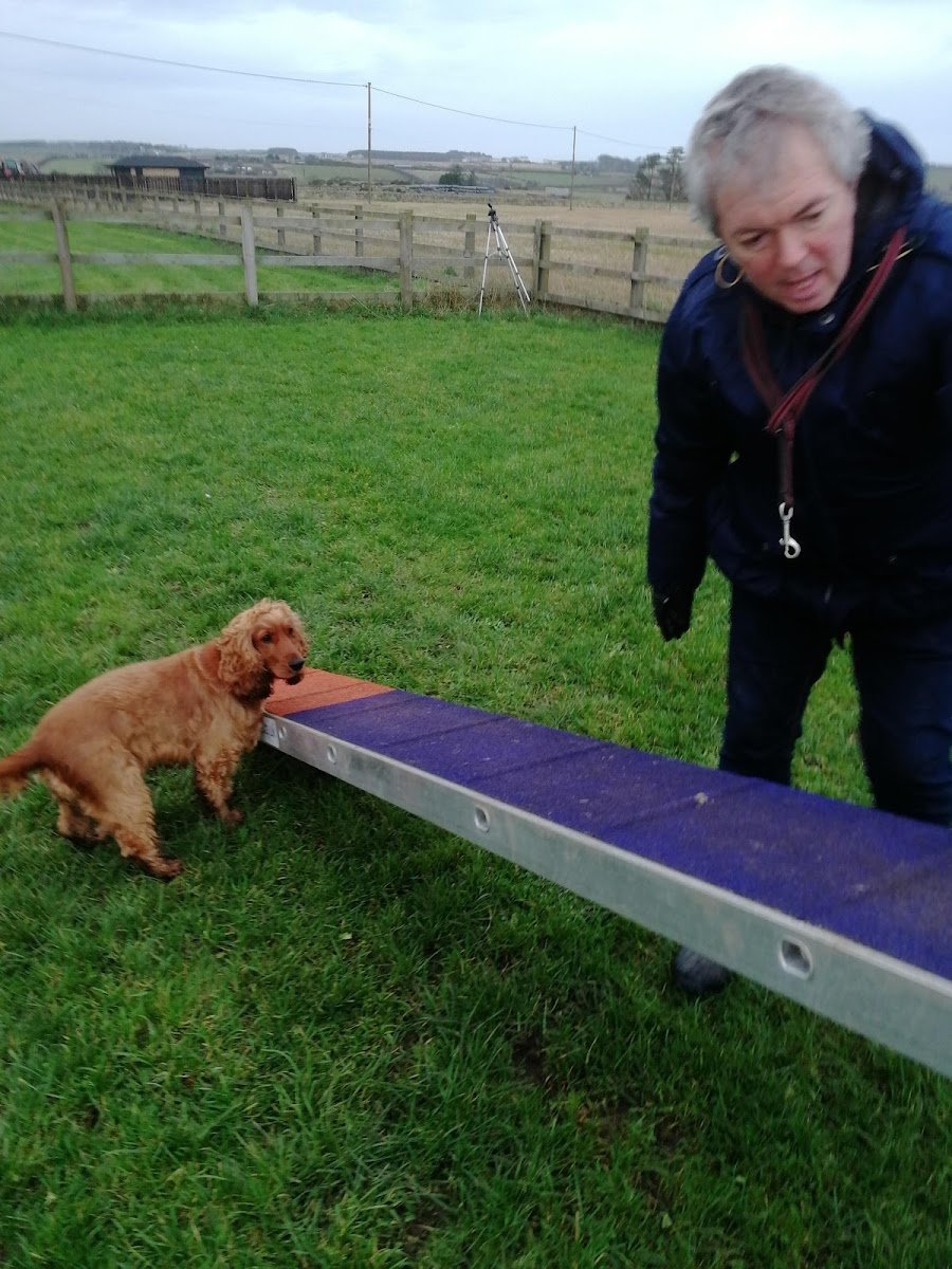 Hillside Pets Limited - Photo 4