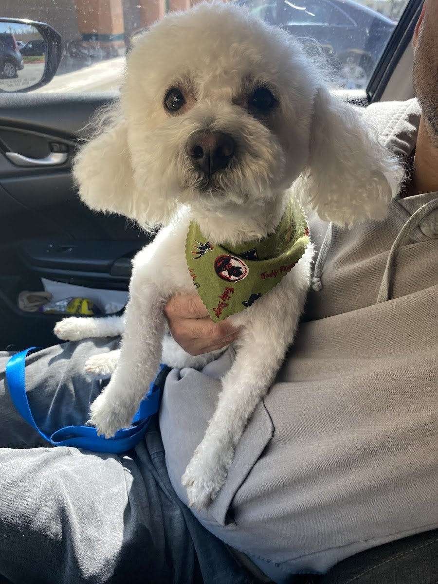 Crosswinds Canine Services - Photo 2