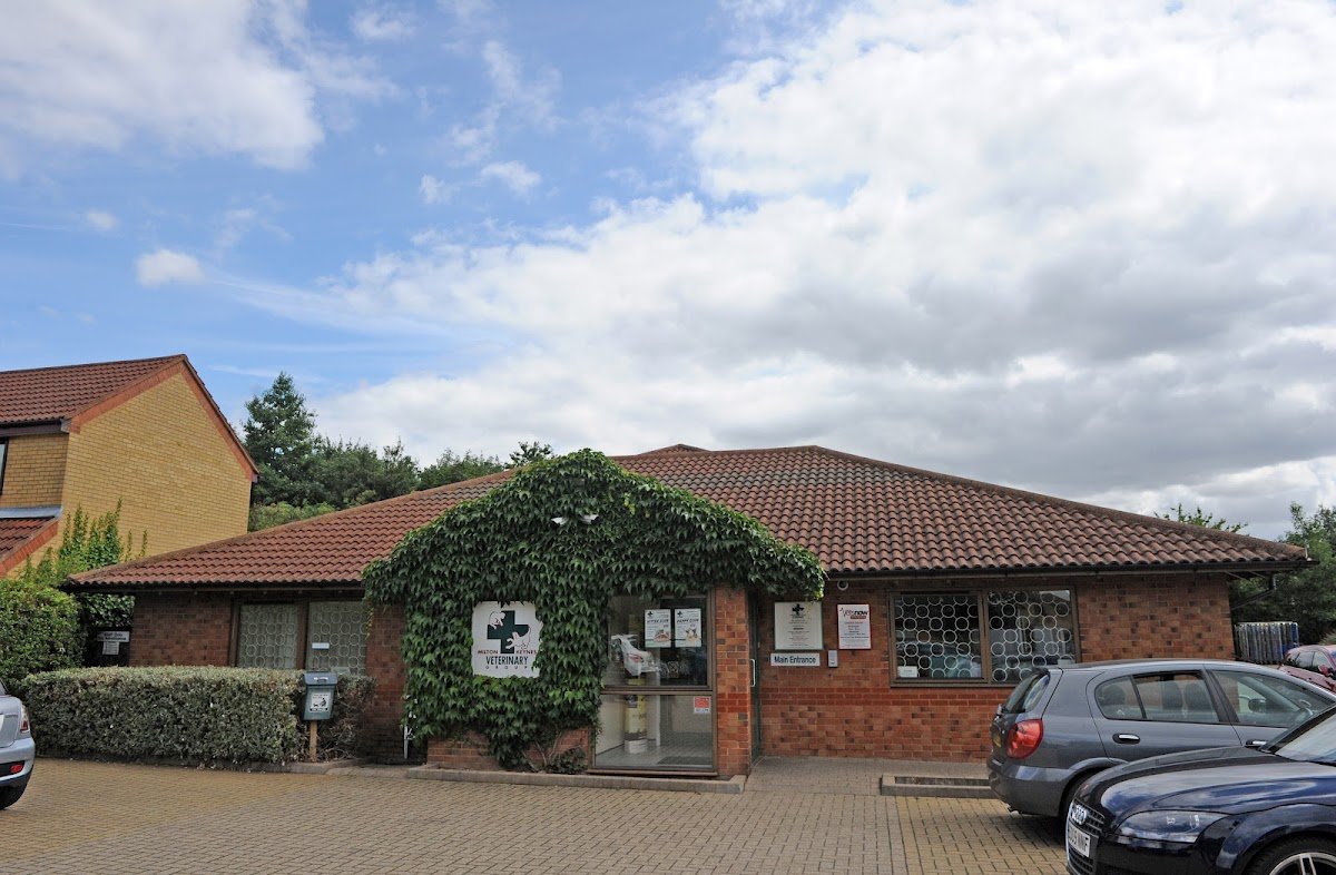 Milton Keynes Veterinary Group - Photo 2