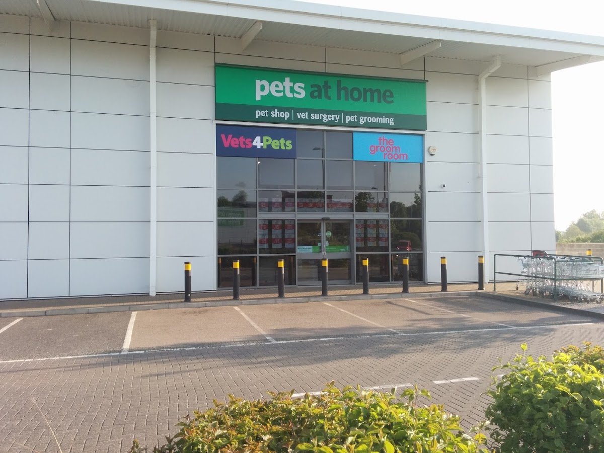 Pets at Home Daventry - Photo 3