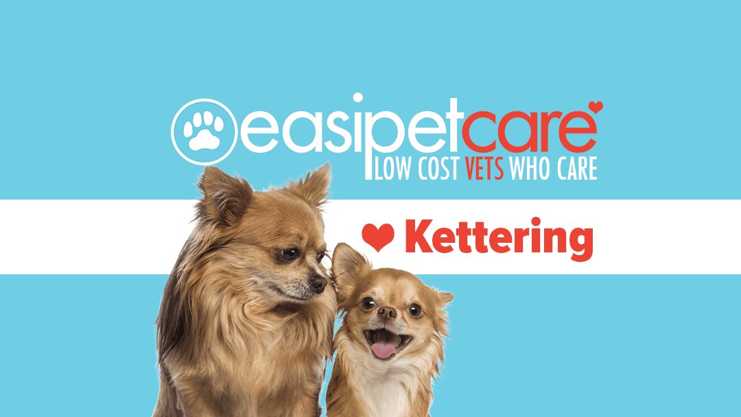 easipetcare - Kettering - Photo 2