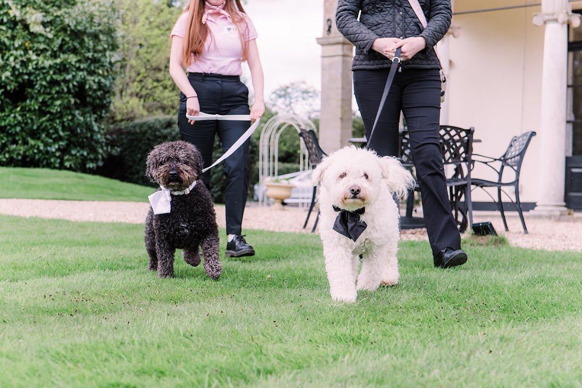 Pamper My Poochie - Photo 2