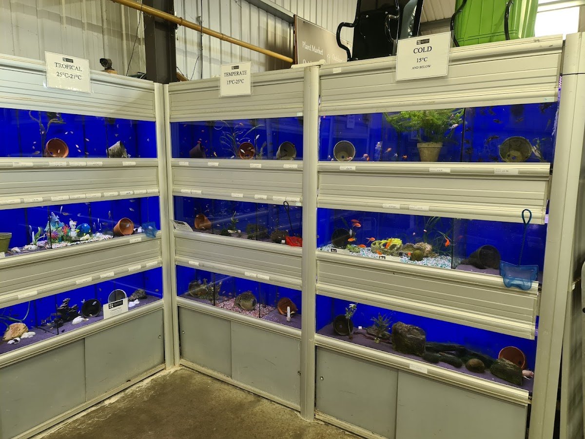 Bruno's Pet Store - Photo 2
