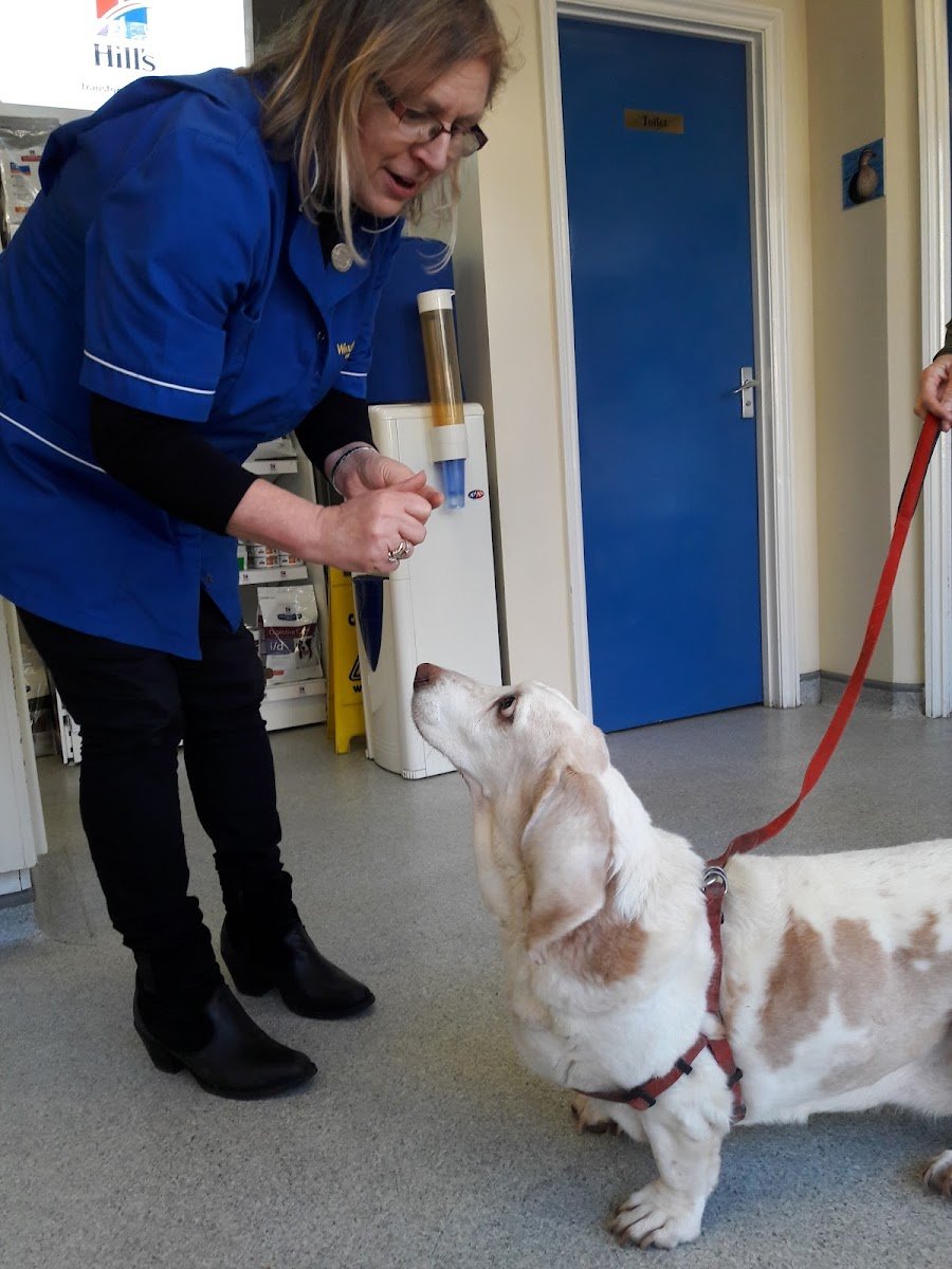 Windmill Veterinary Centre, Winslow - Photo 2