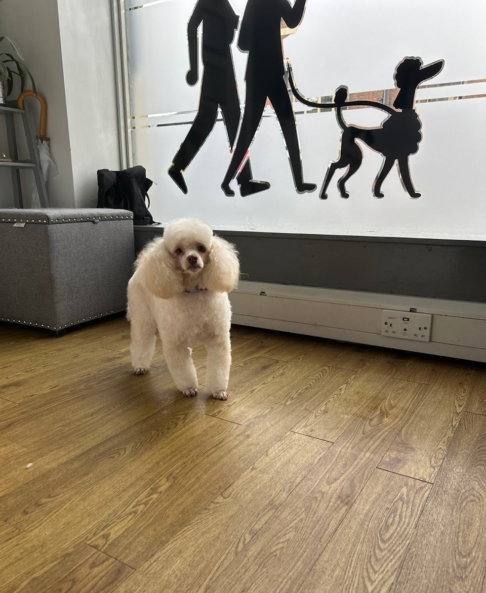 Paw & Tail - Photo 2