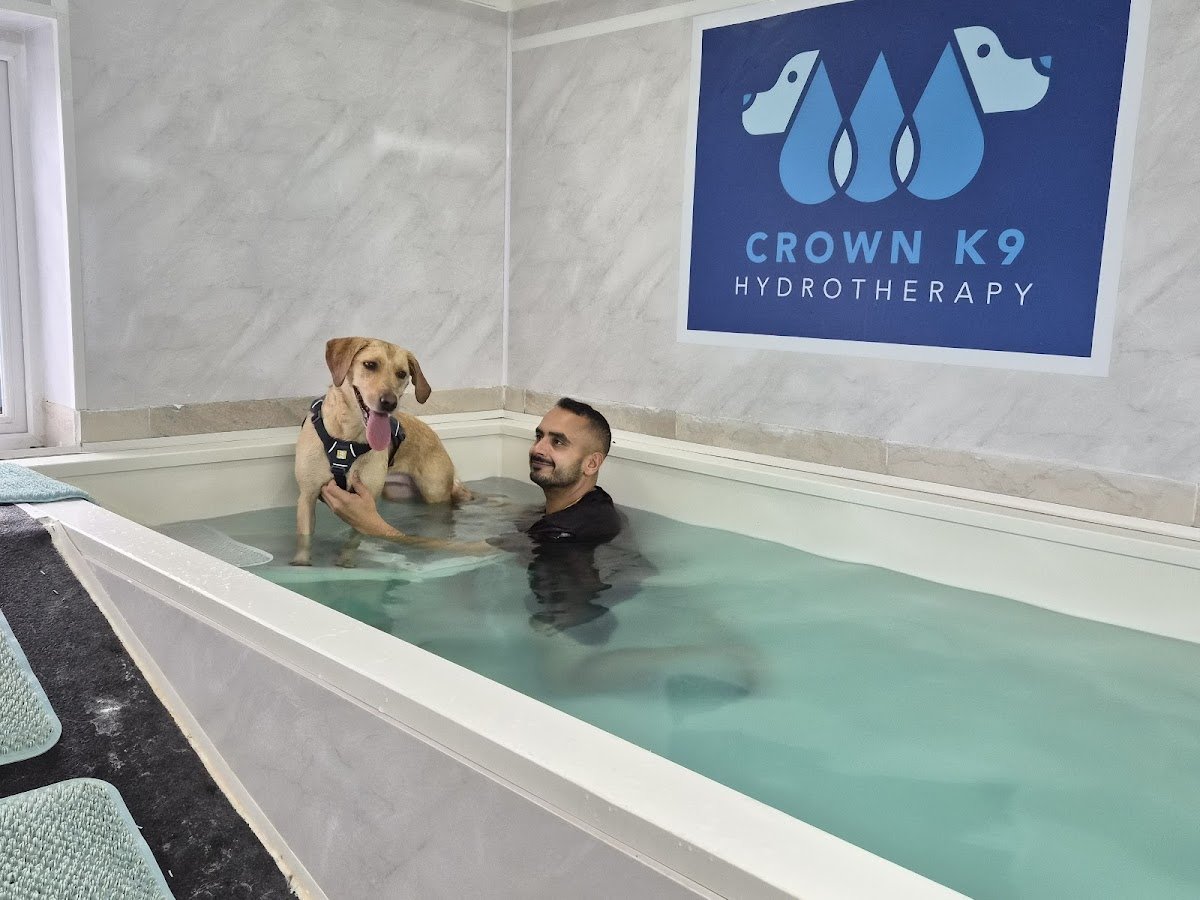 Crown K9 Hydrotherapy - Photo 2