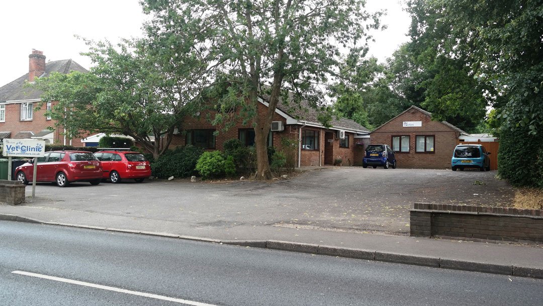 Pet Doctors Botley - Photo 3