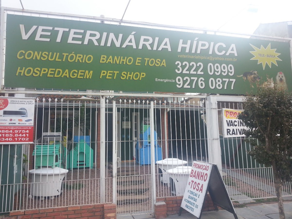 Veterinária Hípica