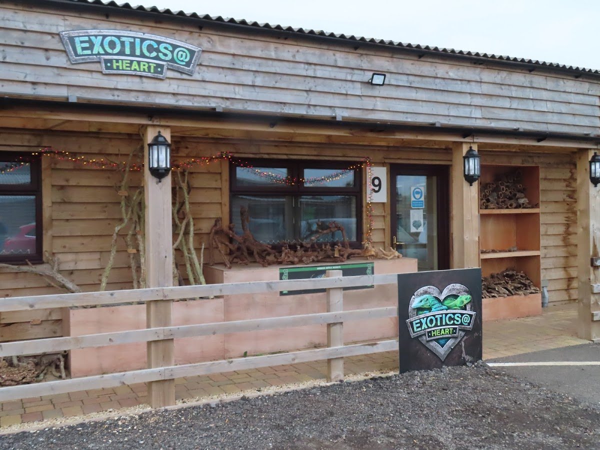 Exotics at Heart Ltd - Photo 2