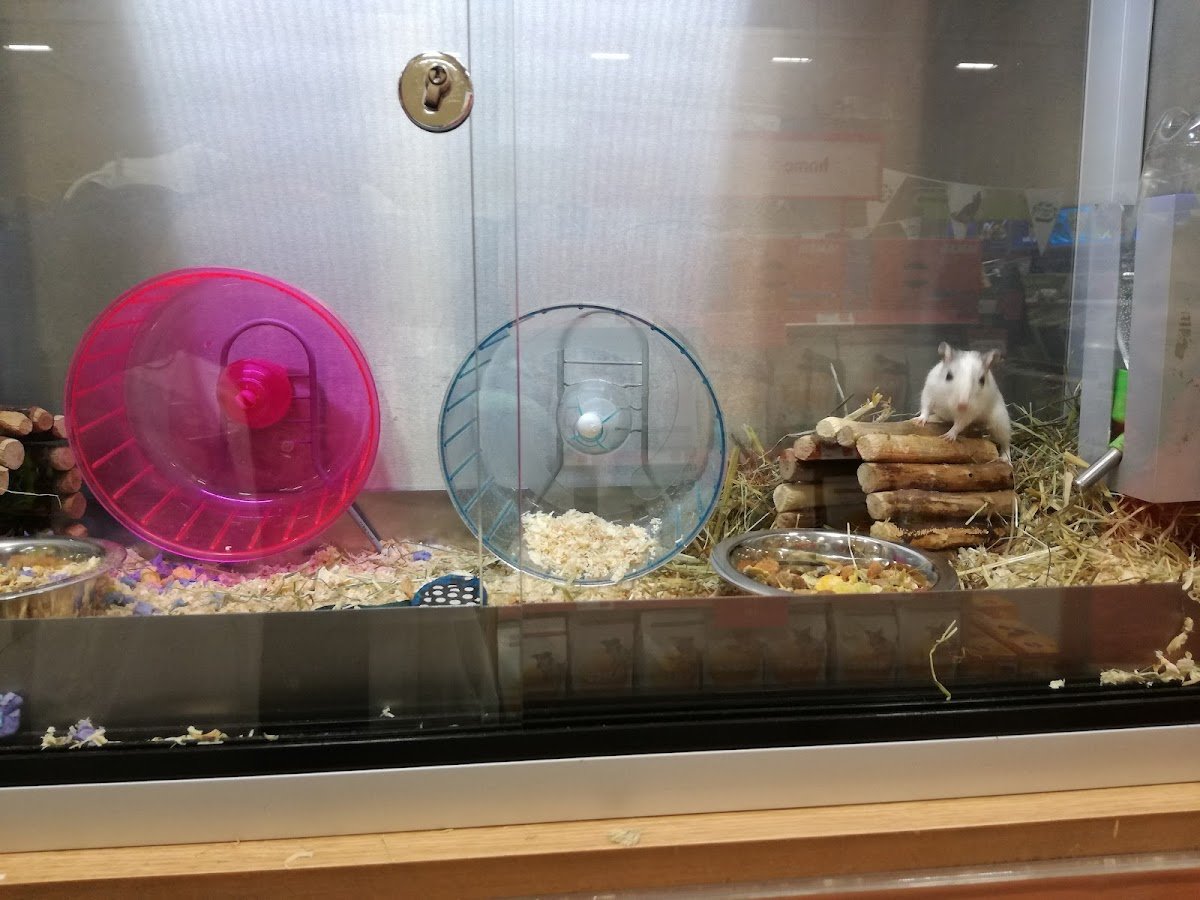 Pets at Home Dunstable - Photo 2