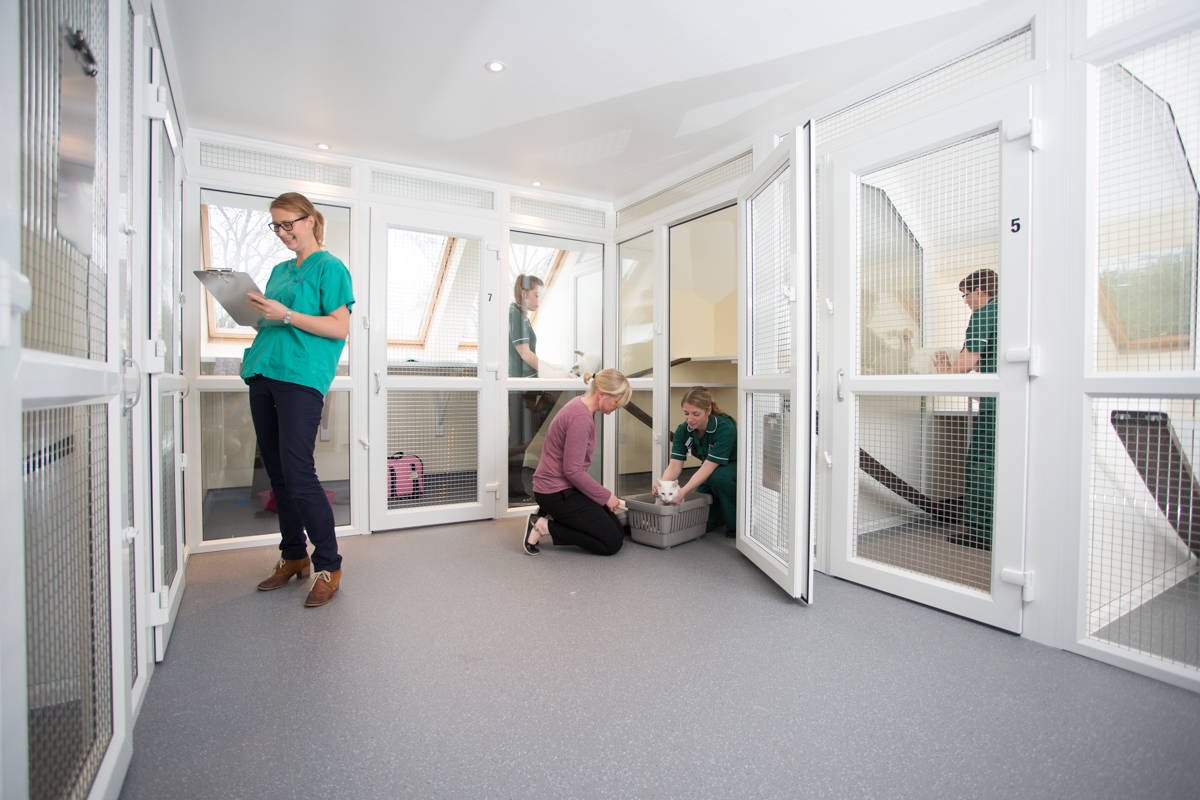 Taverham Vets - Photo 3