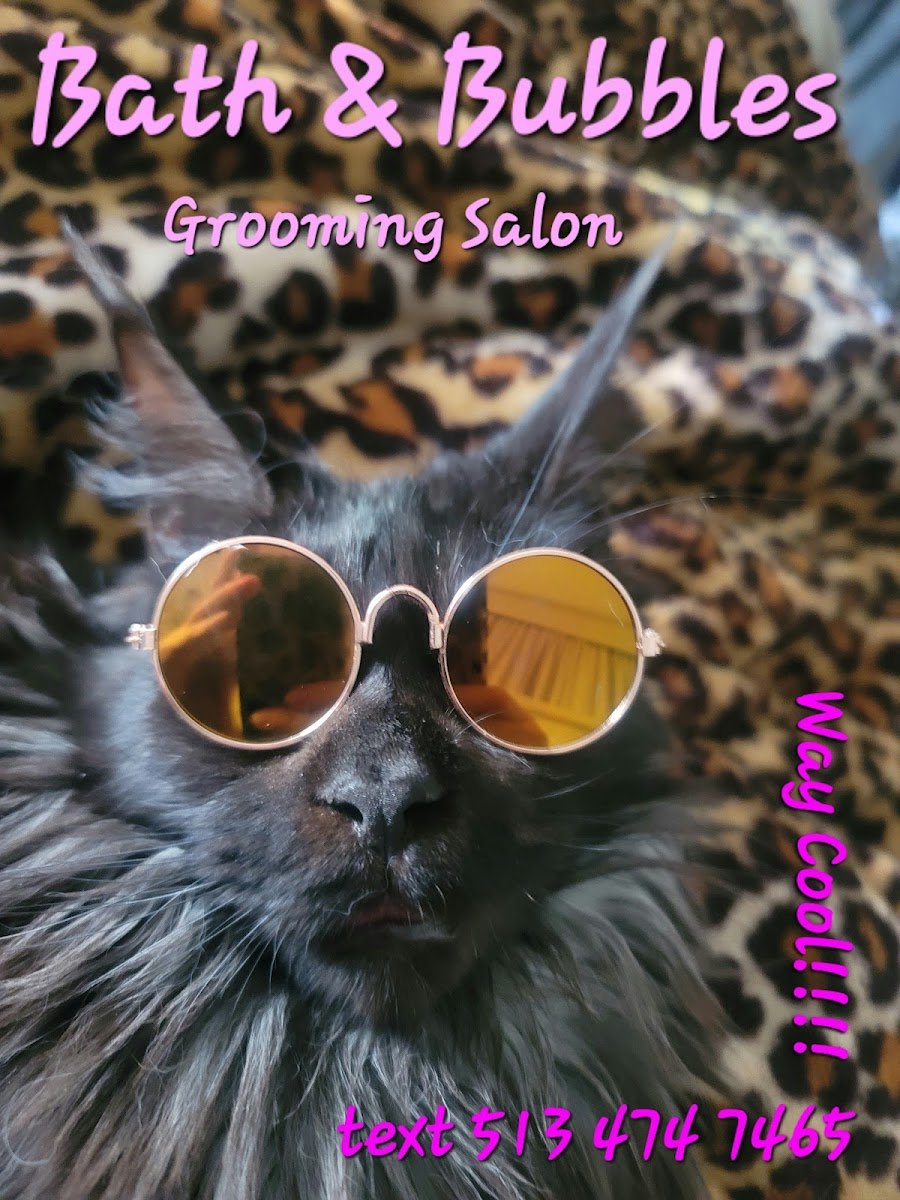 Chrissy's Pet Parlour - Photo 2