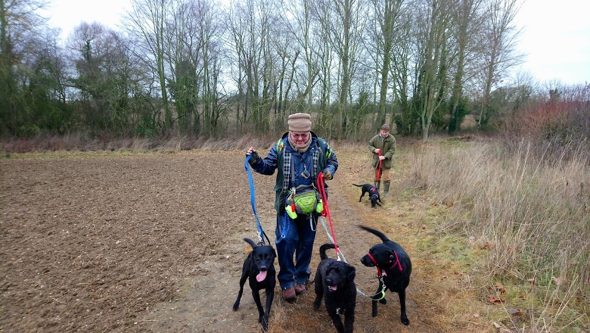 Paramount Dog Training UK - Photo 2
