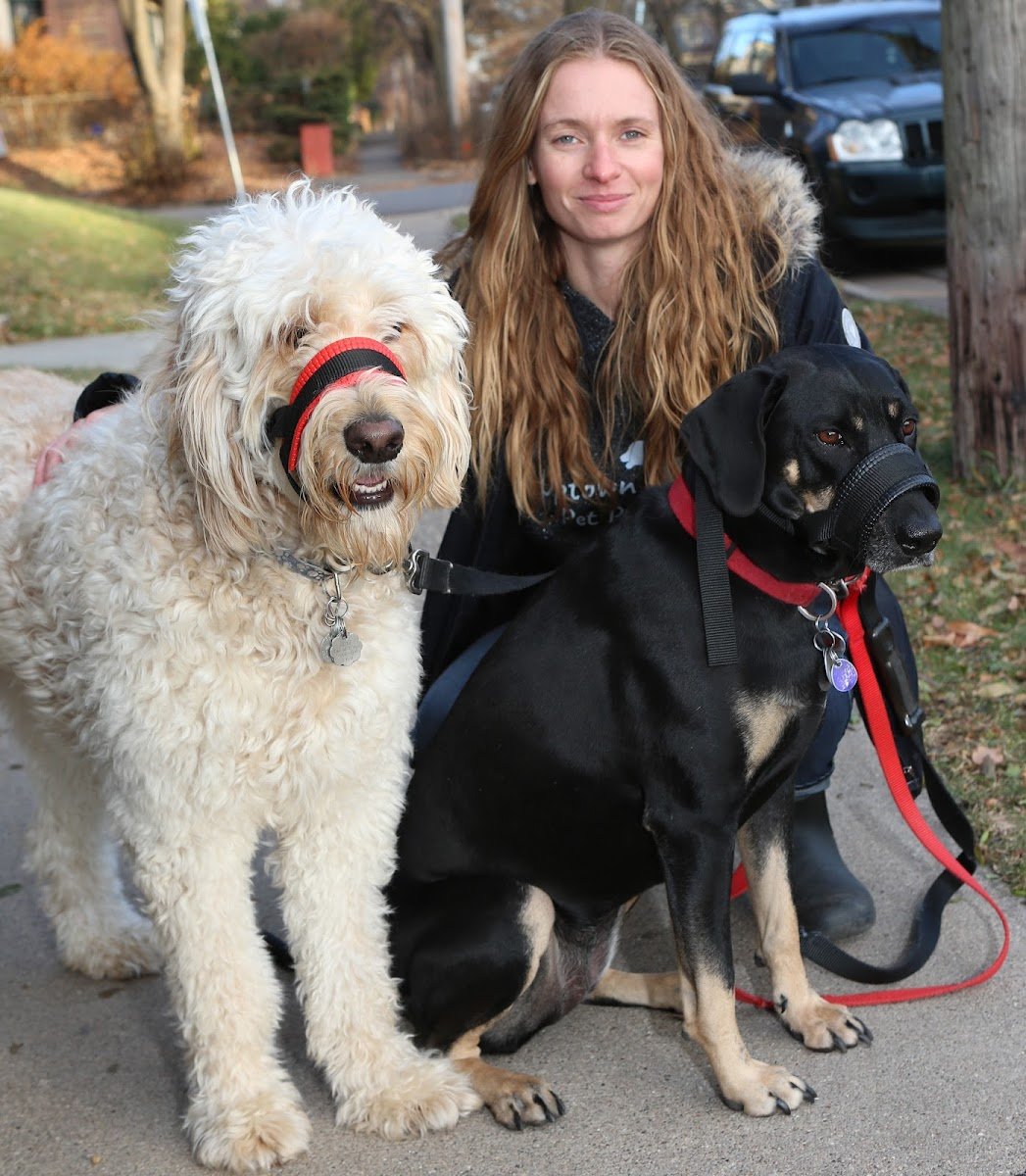 DapperDog Groomers - Photo 2