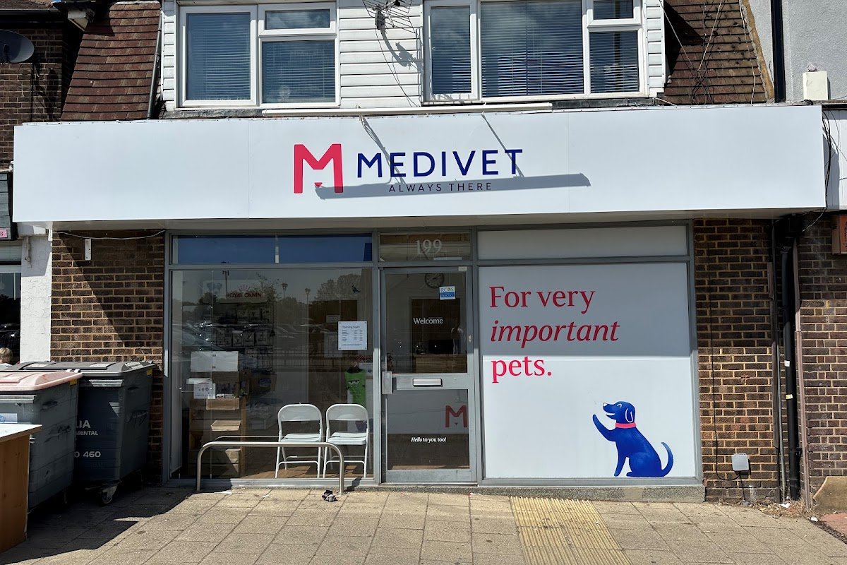 Medivet St Albans - Photo 2