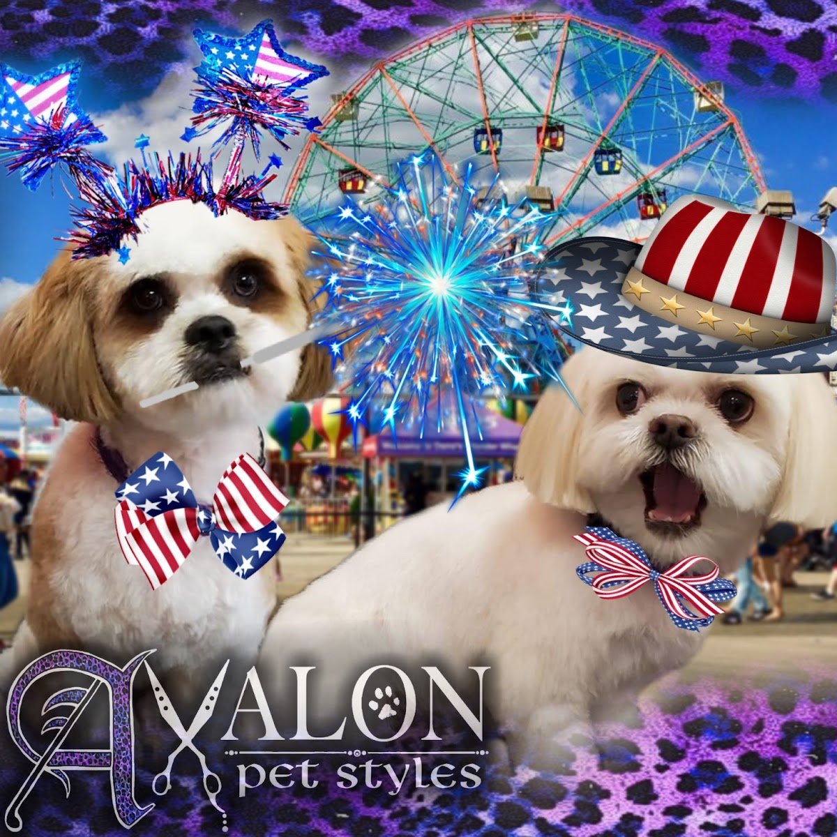 Avalon Pet Styles - Photo 2
