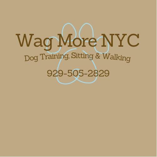Wag More NYC - Photo 2
