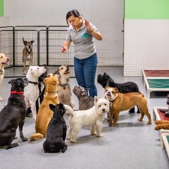 Puppy Loft - Photo 2