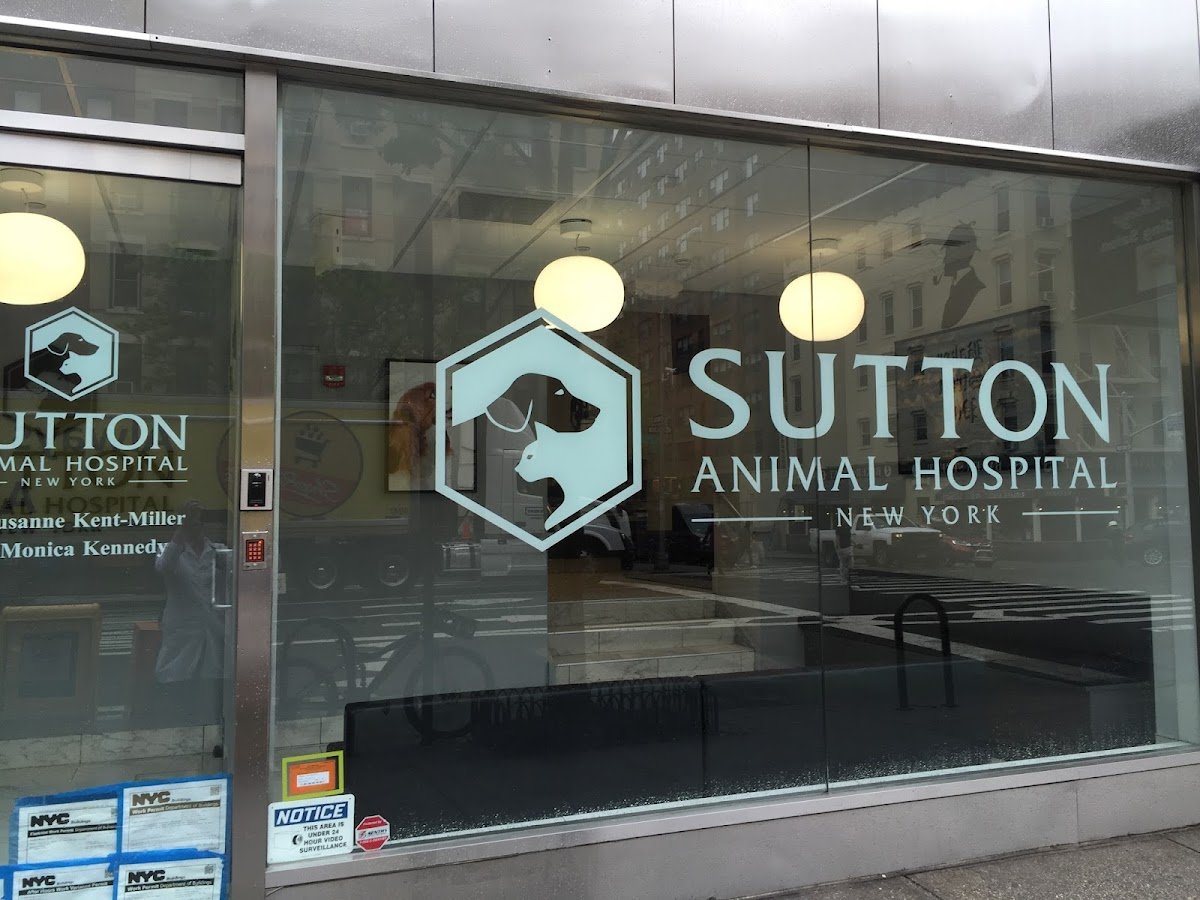 Sutton Animal Hospital - Photo 2