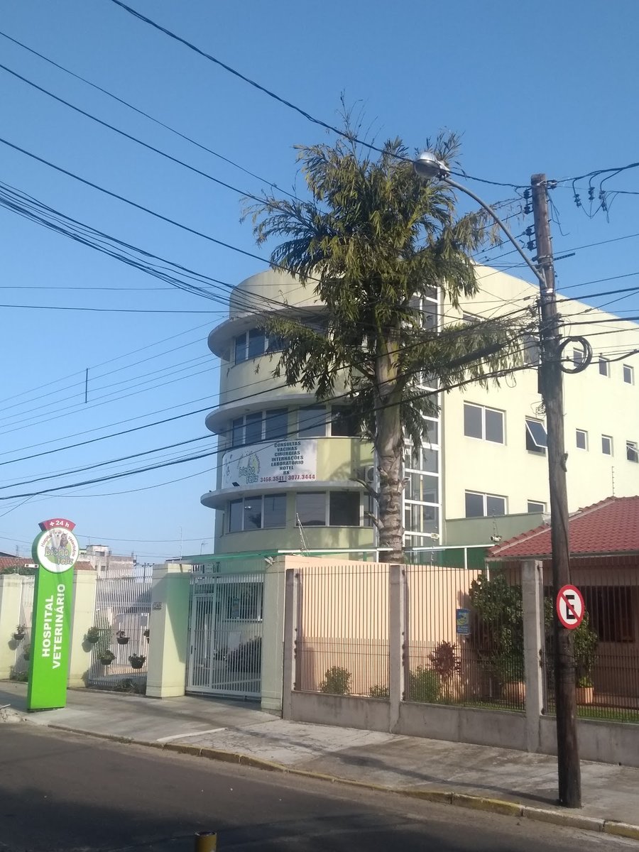 Clínica Veterinária Bicho Feliz