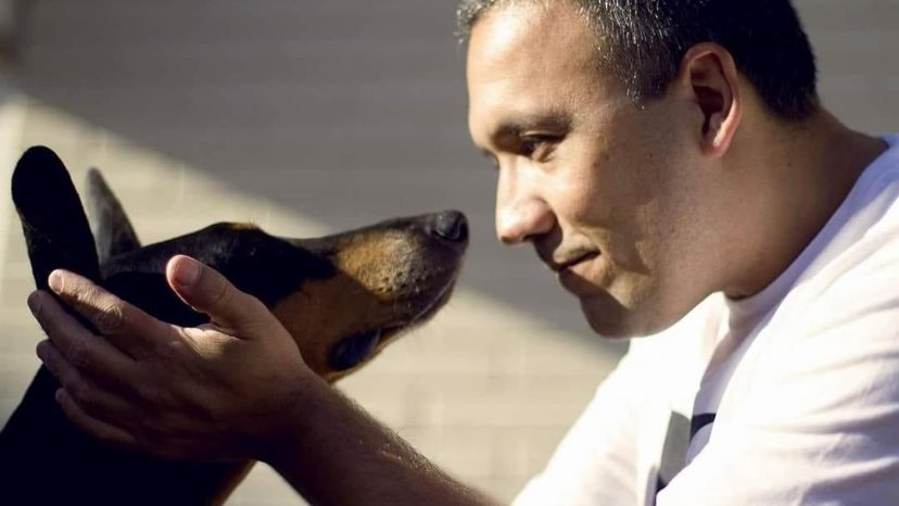 Dr. Harry Rosa Junior - Serviços Veterinários - Pet Shop em Porto Alegre