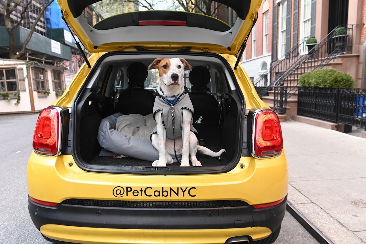 Pet Cab NYC - Photo 2