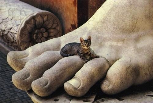 KITTY in NY - Photo 2
