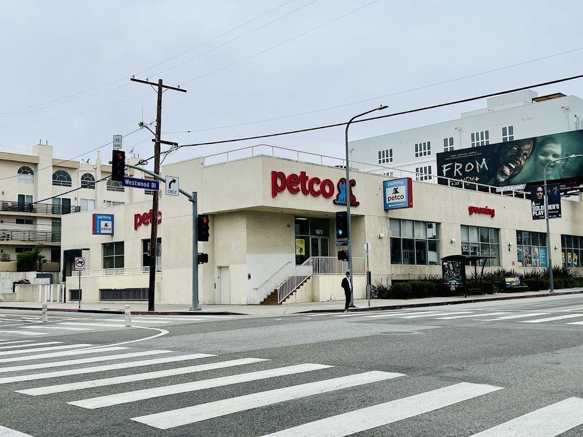 Petco - Photo 3