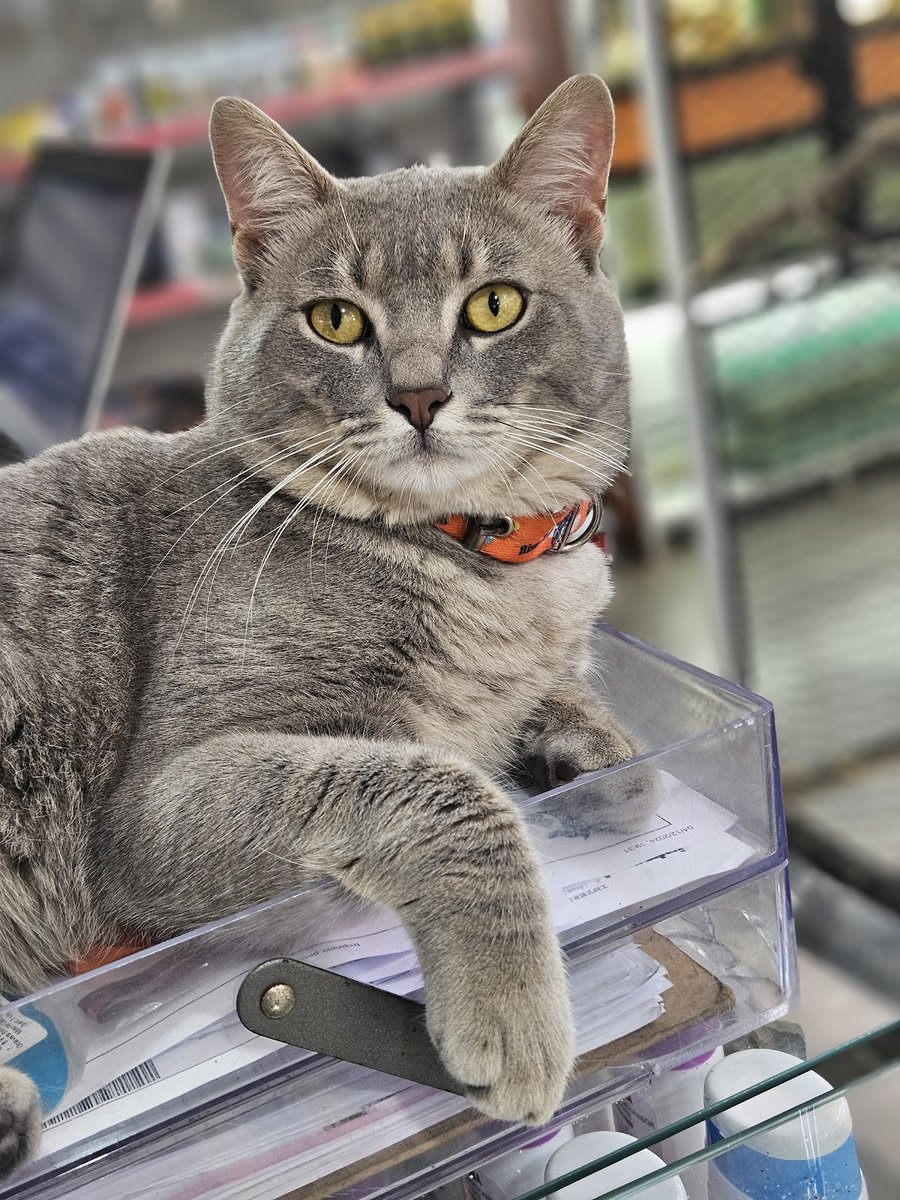 Agropecuária Goularte