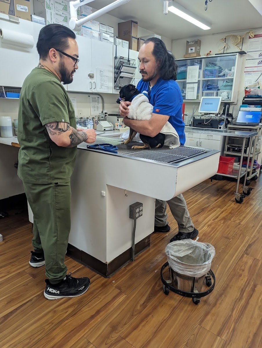 Eagle Glen Veterinary Clinic - Photo 2