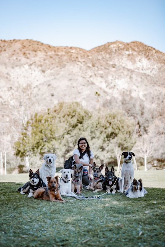 Stellar Canines - Photo 2
