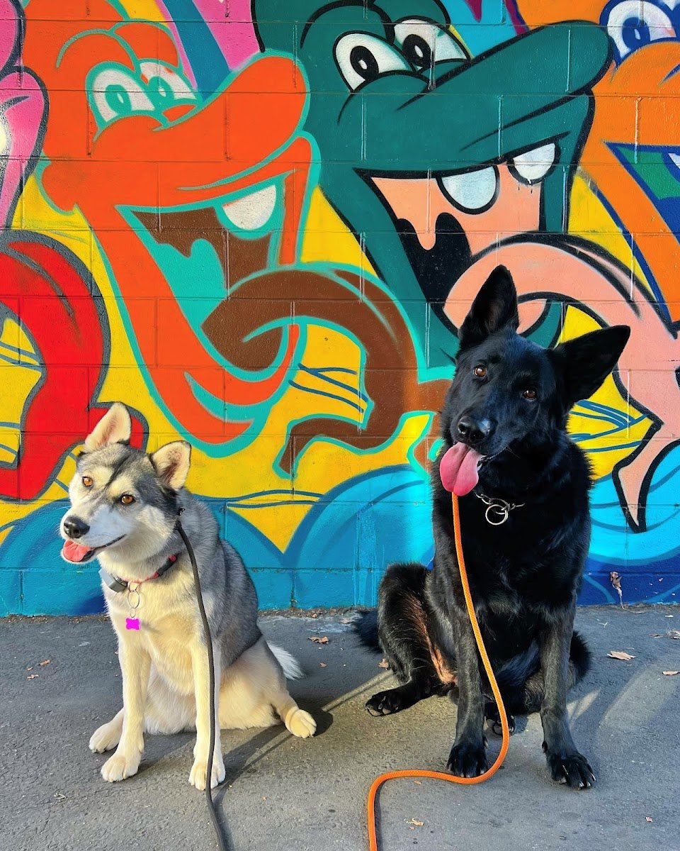 3 Muttsketeers Petcare - Photo 2
