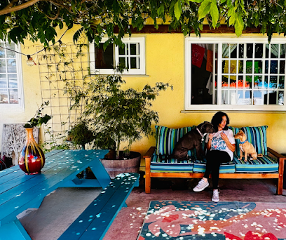 Pig and Rose Doggy Daycare and Boarding