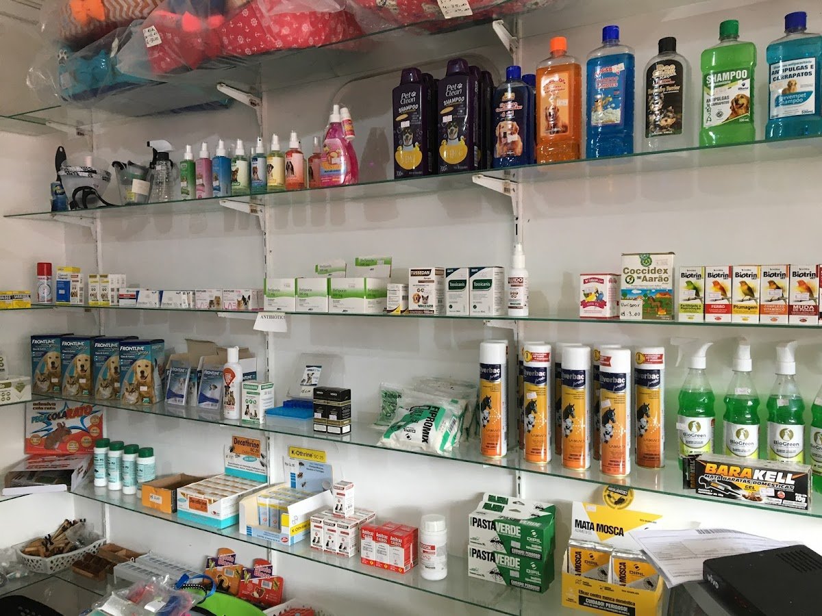 Evolução dos Bichos