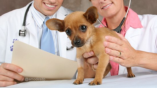 Consultório Veterinário Totalmente Animal