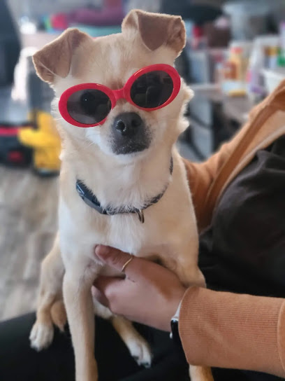 Trust in MEE Dog Services | Dog Boarding & Daycare