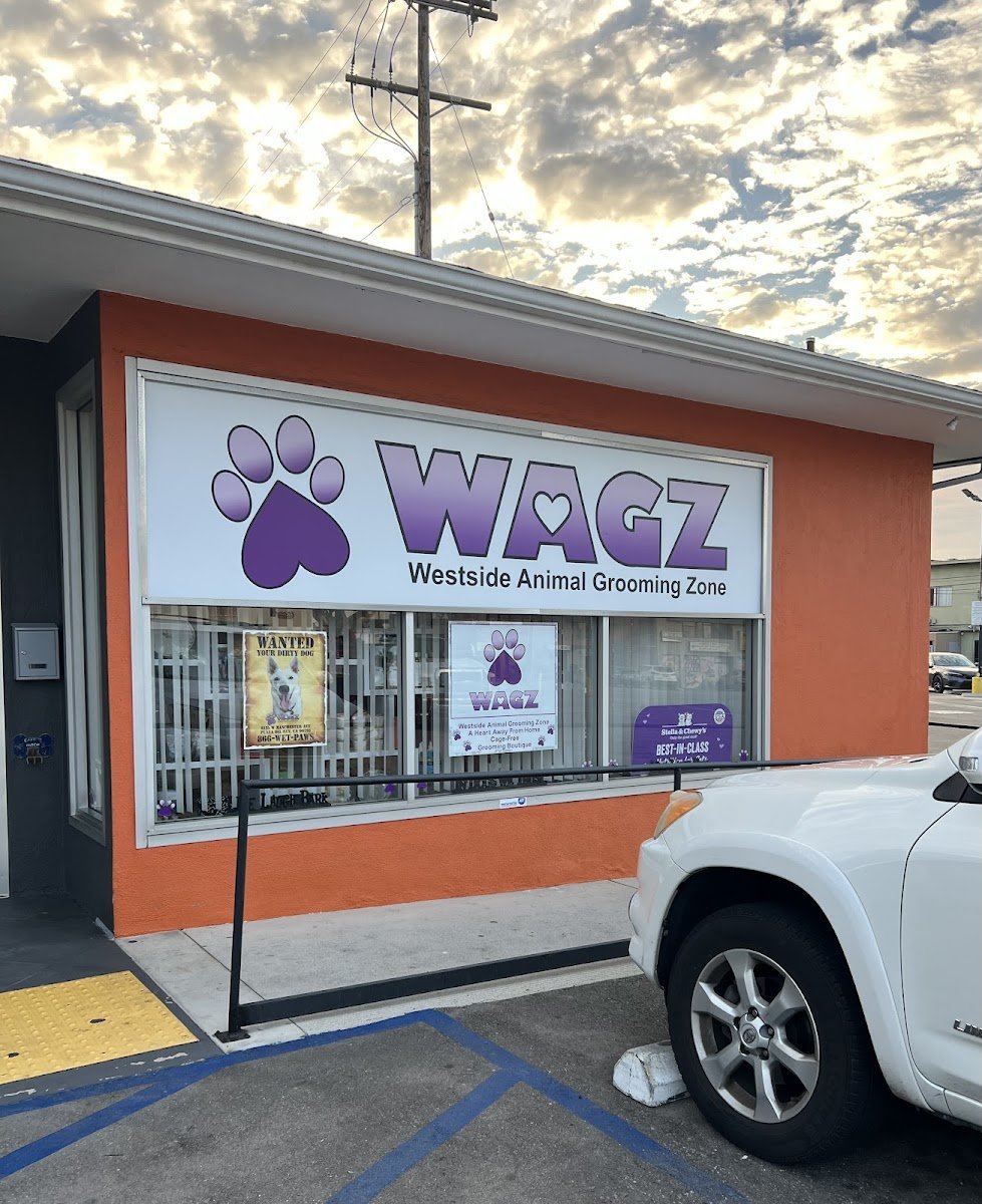 WAGZ Grooming - Photo 2