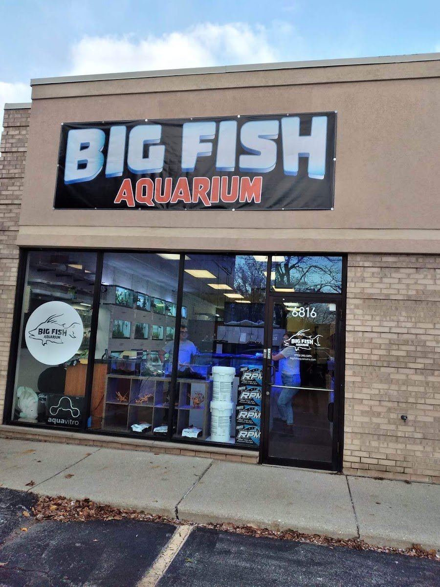 Big Fish Aquarium - Photo 2
