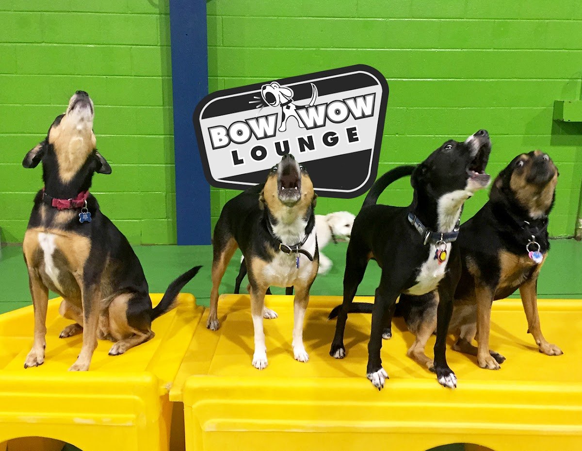 Bow Wow Lounge - Photo 2